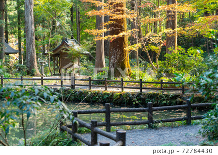 【静岡県】　小國神社 72784430