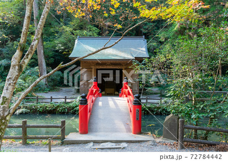 【静岡県】 小國神社 【静岡県】 小國神社 72784442
