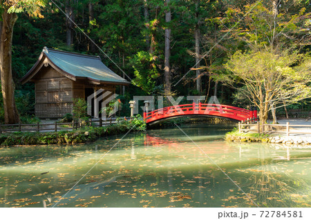 【静岡県】　小國神社 72784581