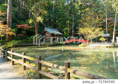 【静岡県】　小國神社 72784585