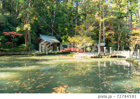 【静岡県】 小國神社 【静岡県】 小國神社 72784591