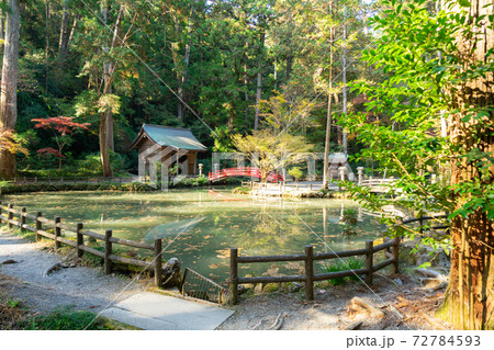 【静岡県】 小國神社 【静岡県】 小國神社 72784593