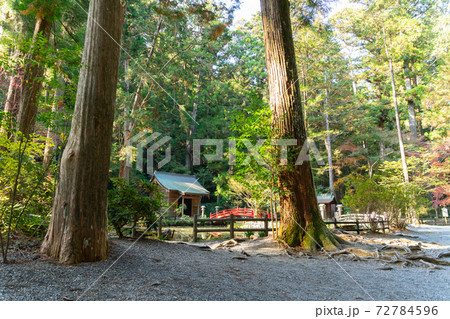 【静岡県】　小國神社 72784596