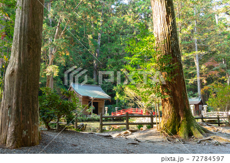 【静岡県】 小國神社 【静岡県】 小國神社 72784597
