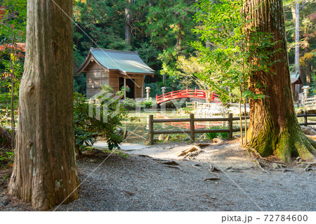 【静岡県】　小國神社 72784600