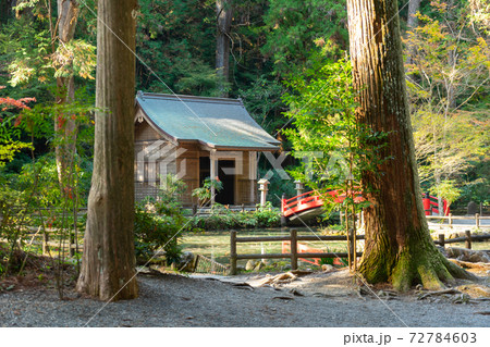 【静岡県】 小國神社 【静岡県】 小國神社 72784603