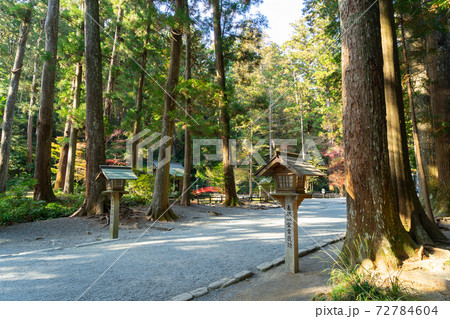 【静岡県】 小國神社 【静岡県】 小國神社 72784604