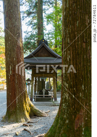 【静岡県】 小國神社 【静岡県】 小國神社 72784611