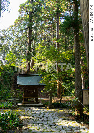 【静岡県】 小國神社 【静岡県】 小國神社 72784614