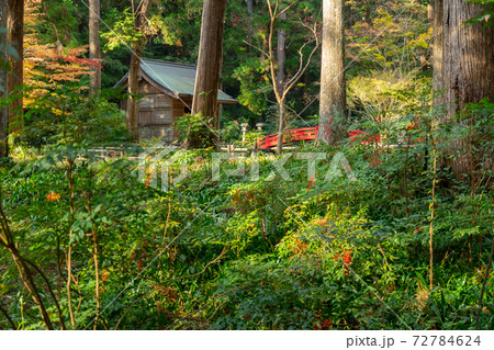 【静岡県】 小國神社 【静岡県】 小國神社 72784624