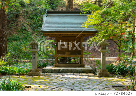 【静岡県】 小國神社 【静岡県】 小國神社 72784627