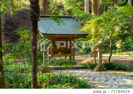 【静岡県】 小國神社 【静岡県】 小國神社 72784629