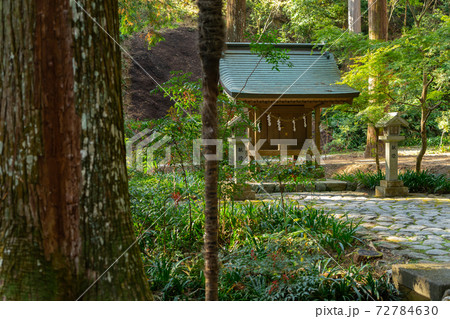 【静岡県】 小國神社 【静岡県】 小國神社 72784630