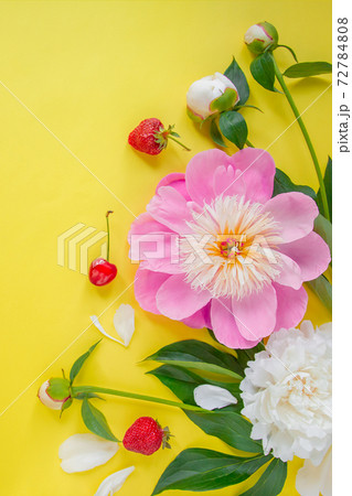 Flowers of peony, branches, leaves and petals and berries of cherry, strawberry with space for text on a yellow background. Flat lay, top view. 72784808
