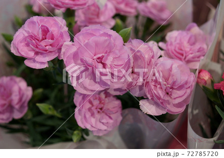 カーネーションの花束 72785720