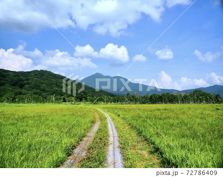 尾瀬 ヨッピ吊り橋から東電小屋へ2 尾瀬 ヨッピ吊り橋から東電小屋へ2 72786409