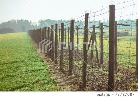 grass and path between barbed wire fences in German concentration and extermination camp Majdanek. Lublin, Poland grass and path between barbed wire fences in German concentration and extermination camp Majdanek. Lublin, Poland 72787087