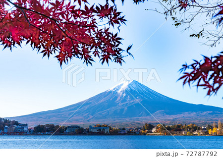 Colorful Autumn in Mount Fuji, Japan - Lake Kawaguchiko is one of the best places in Japan to enjoy Mount Fuji scenery of maple leaves changing color giving image of those leaves framing Mount Fuji. Colorful Autumn in Mount Fuji, Japan - Lake Kawaguchiko is one of the best places in Japan to enjoy Mount Fuji scenery of maple leaves changing color giving image of those leaves framing Mount Fuji. 72787792