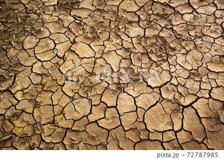 cracked clay ground into the dry season 72787985