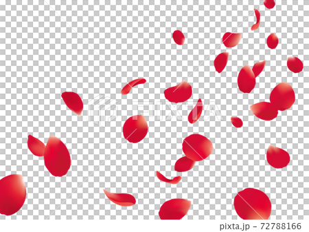 Dancing rose petals Dancing rose petals 72788166