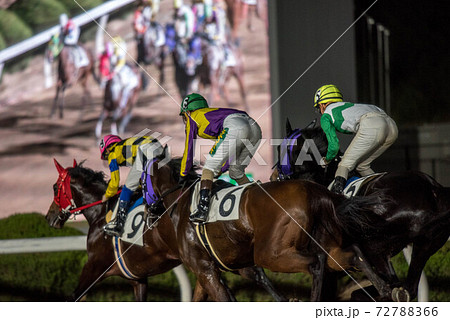 夜の佐賀競馬 夜の佐賀競馬 72788366
