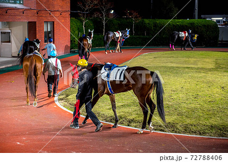 夜の佐賀競馬 夜の佐賀競馬 72788406