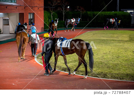 夜の佐賀競馬 夜の佐賀競馬 72788407
