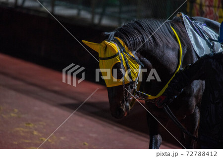 夜の佐賀競馬 72788412