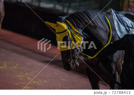 夜の佐賀競馬 72788413