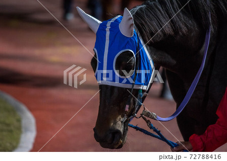 夜の佐賀競馬 夜の佐賀競馬 72788416