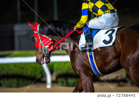 夜の佐賀競馬 72788445