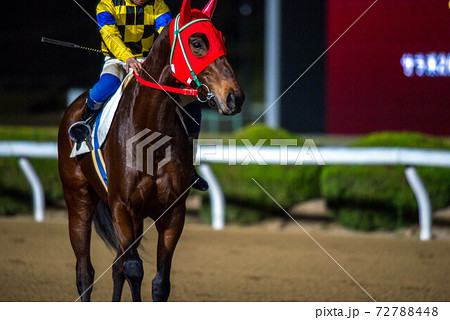 夜の佐賀競馬 夜の佐賀競馬 72788448