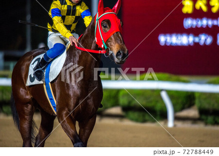 夜の佐賀競馬 72788449