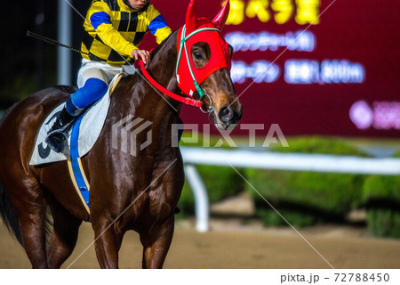 夜の佐賀競馬 72788450