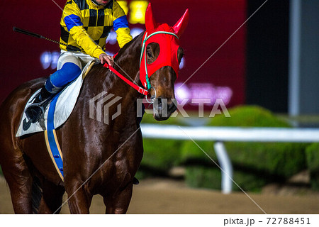 夜の佐賀競馬 72788451