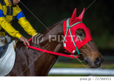 夜の佐賀競馬 72788453