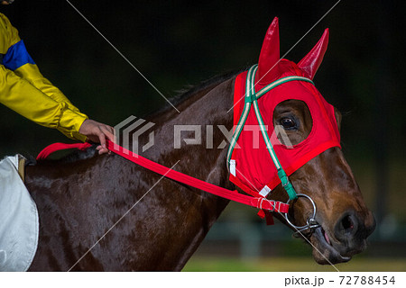 夜の佐賀競馬 夜の佐賀競馬 72788454
