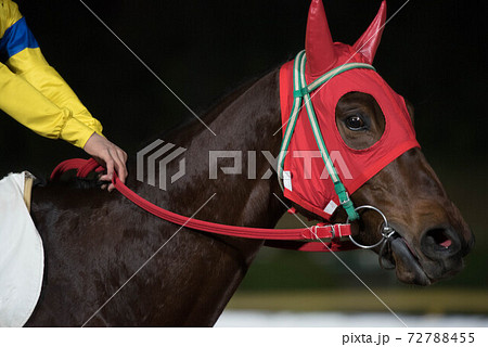 夜の佐賀競馬 夜の佐賀競馬 72788455