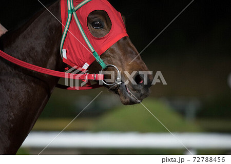 夜の佐賀競馬 72788456