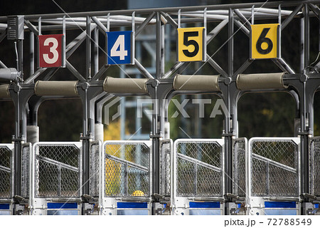 夜の佐賀競馬 72788549