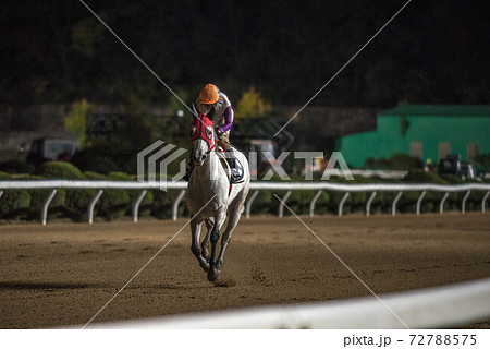 夜の佐賀競馬 72788575