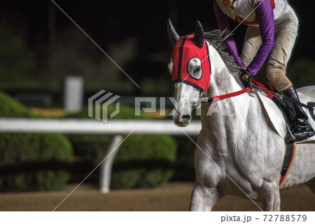 夜の佐賀競馬 72788579