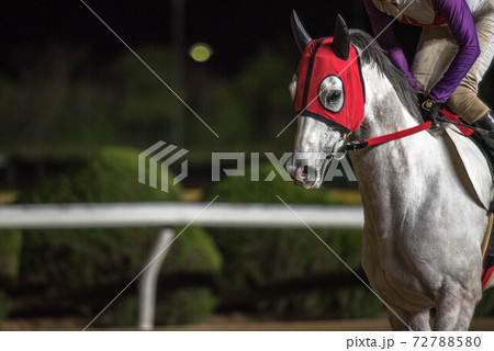 夜の佐賀競馬 72788580