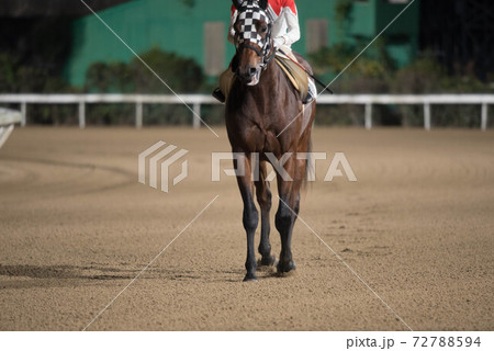 夜の佐賀競馬 夜の佐賀競馬 72788594