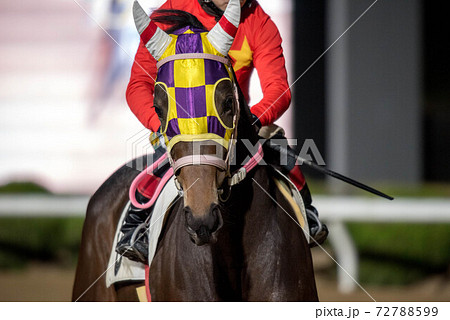 夜の佐賀競馬 72788599