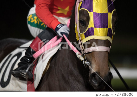 夜の佐賀競馬 72788600