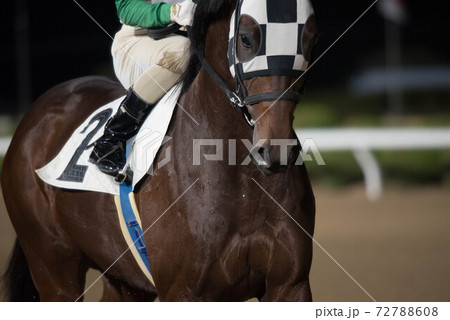 夜の佐賀競馬 72788608