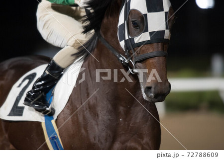 夜の佐賀競馬 72788609