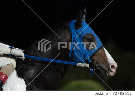 夜の佐賀競馬 夜の佐賀競馬 72788615