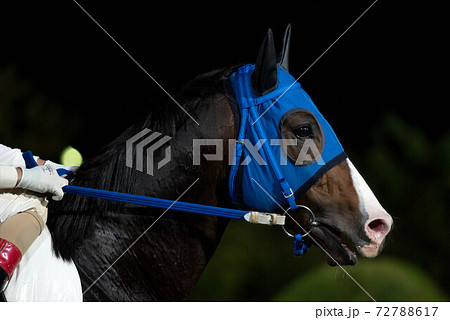 夜の佐賀競馬 72788617